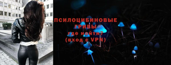 прущая мука Осинники