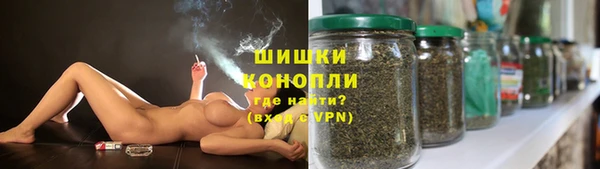 амф Осташков