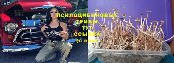 прущая мука Осинники