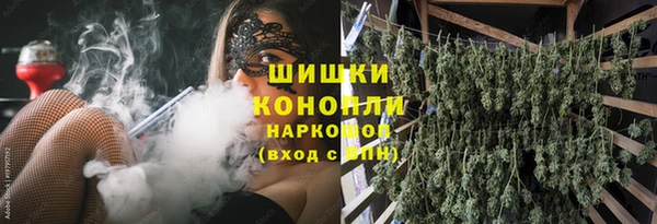 амф Осташков