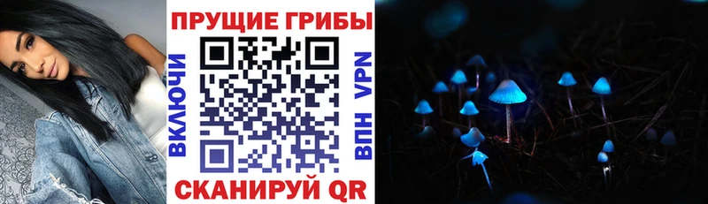 Псилоцибиновые грибы ЛСД  Белореченск 