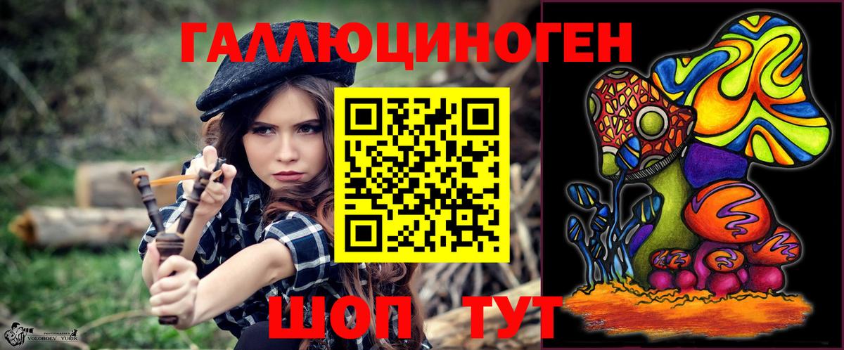 Псилоцибиновые грибы Psilocybe  Белореченск 