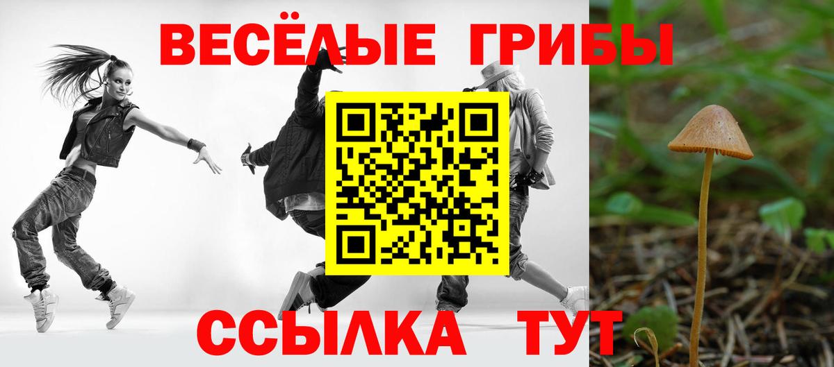 Галлюциногенные грибы Psilocybine cubensis  Псилоцибиновые грибы Magic Shrooms  Вход с VPN  Белореченск 